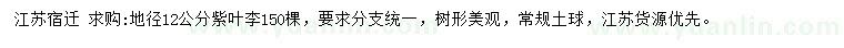 求購地徑12公分紫葉李