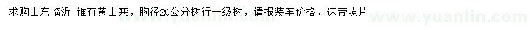 求購(gòu)胸徑20公分黃山欒