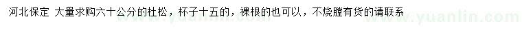 求購60公分杜松