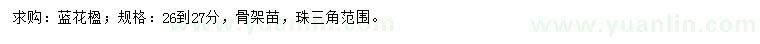 求購(gòu)26-27公分藍(lán)花楹