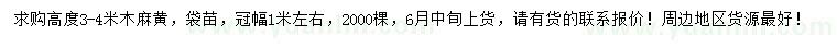 求購高3-4米木麻黃