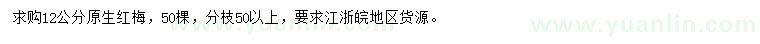 求購(gòu)12公分紅梅