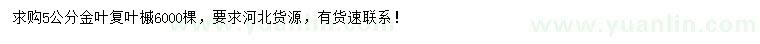 求購5公分金葉復(fù)葉槭