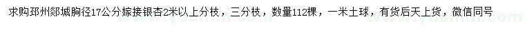 求購胸徑17公分嫁接銀杏