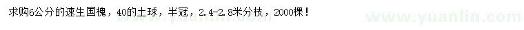 求購6公分速生國槐