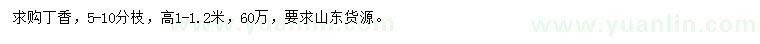 求購高1-1.2米丁香