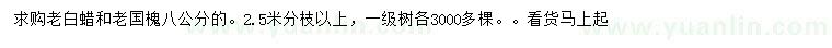 求購8公分老白蠟、老國槐