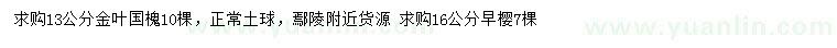 求購13公分金葉國槐、16公分早櫻