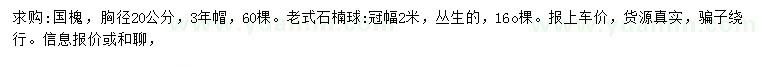 求購胸徑20公分國槐、冠幅2米老式石楠球
