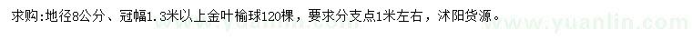 求購地徑8公分金葉榆球