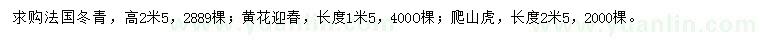 求購法國冬青、黃花迎春、爬山虎