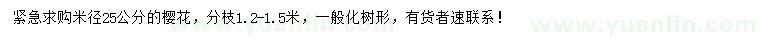 求購米徑25公分櫻花