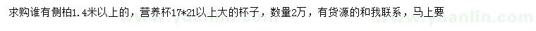 求購1.4米以上側(cè)柏