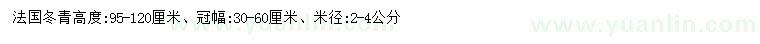 求購(gòu)高95-120公分法國(guó)冬青