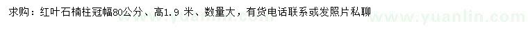 求購冠幅80公分紅葉石楠柱