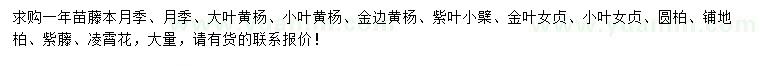 求購藤本月季、大葉黃楊、紫葉小檗等