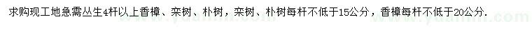 求購(gòu)樸樹(shù)、欒樹(shù)、香樟
