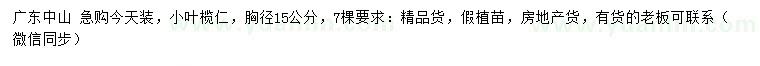 求購胸徑15公分小葉欖仁