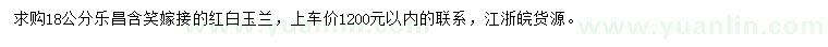 求購18公分樂昌含笑嫁接紅白玉蘭