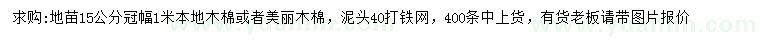 求購冠幅1米本地木棉或美麗木棉