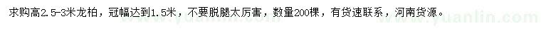 求購高2.5-3米龍柏