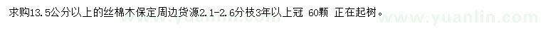 求購13.5公分以上絲棉木
