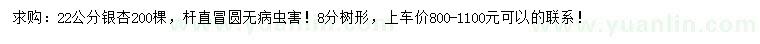 求購22公分銀杏