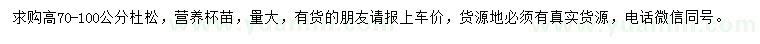 求購(gòu)高70-100公分杜松