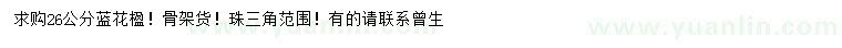 求購26公分藍(lán)花楹