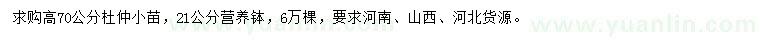 求購高70公分杜仲小苗