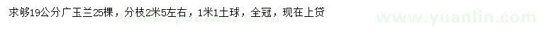 求購19公分廣玉蘭