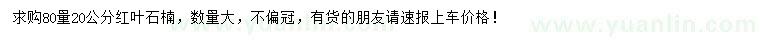 求購80量20公分紅葉石楠