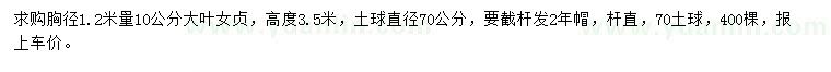 求購胸徑1.2米量10公分大葉女貞
