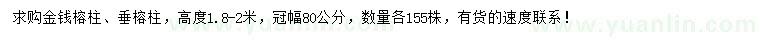 求購高1.8-2米金錢榕柱、垂榕柱