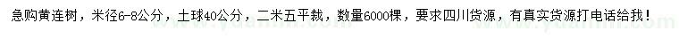 求購米徑6-8公分黃連木