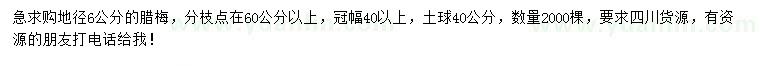 求購地徑6公分臘梅