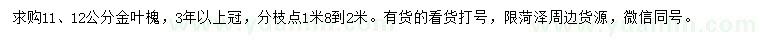 求購11、12公分金葉槐