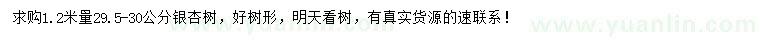 求購1.2米量29.5-30公分銀杏樹