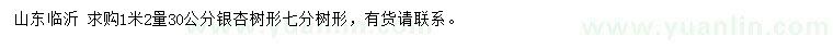 求購(gòu)1.2米量30公分銀杏樹(shù)