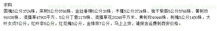 求購國槐、欒樹、金絲垂柳等