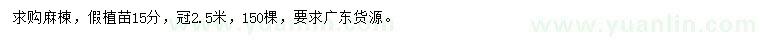 求購15公分麻楝