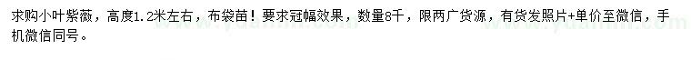 求購高度1.2米左右小葉紫薇