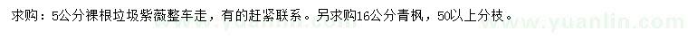 求購5公分垃圾紫薇、16公分青楓