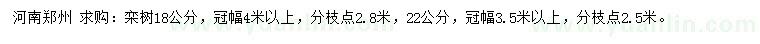 求購(gòu)18公分欒樹(shù)