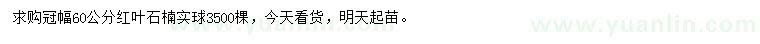 求購(gòu)冠幅60公分紅葉石楠