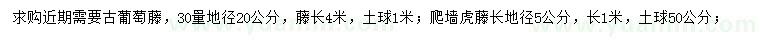 求購30量20公分古葡萄藤、5公分爬墻虎