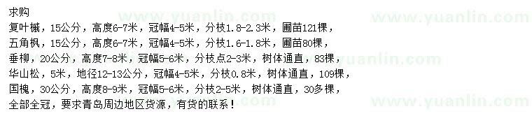 求購復葉槭、五角楓、垂柳等