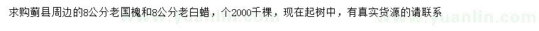 求購8公分老國槐、老白蠟