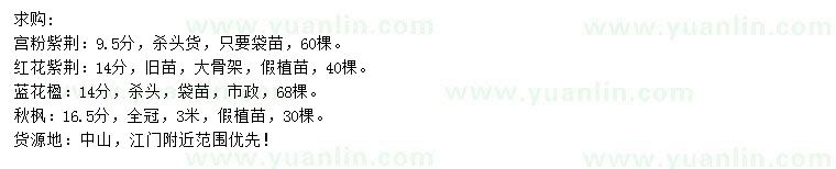 求購宮粉紫荊、紅花紫荊、藍花楹等