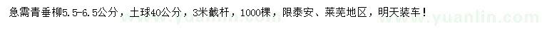 求購5.5-6.5公分青垂柳